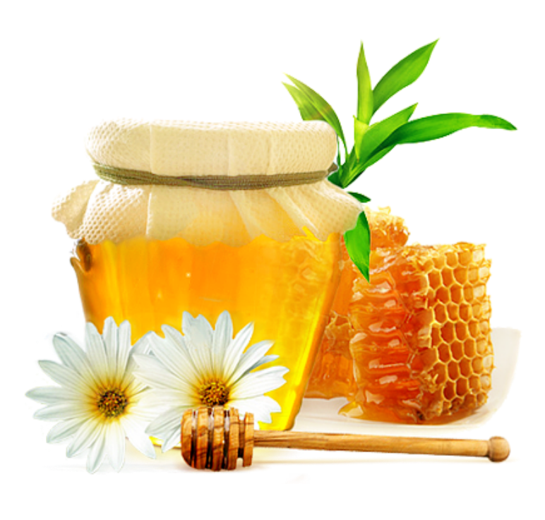 1649323199566635.png 13.png