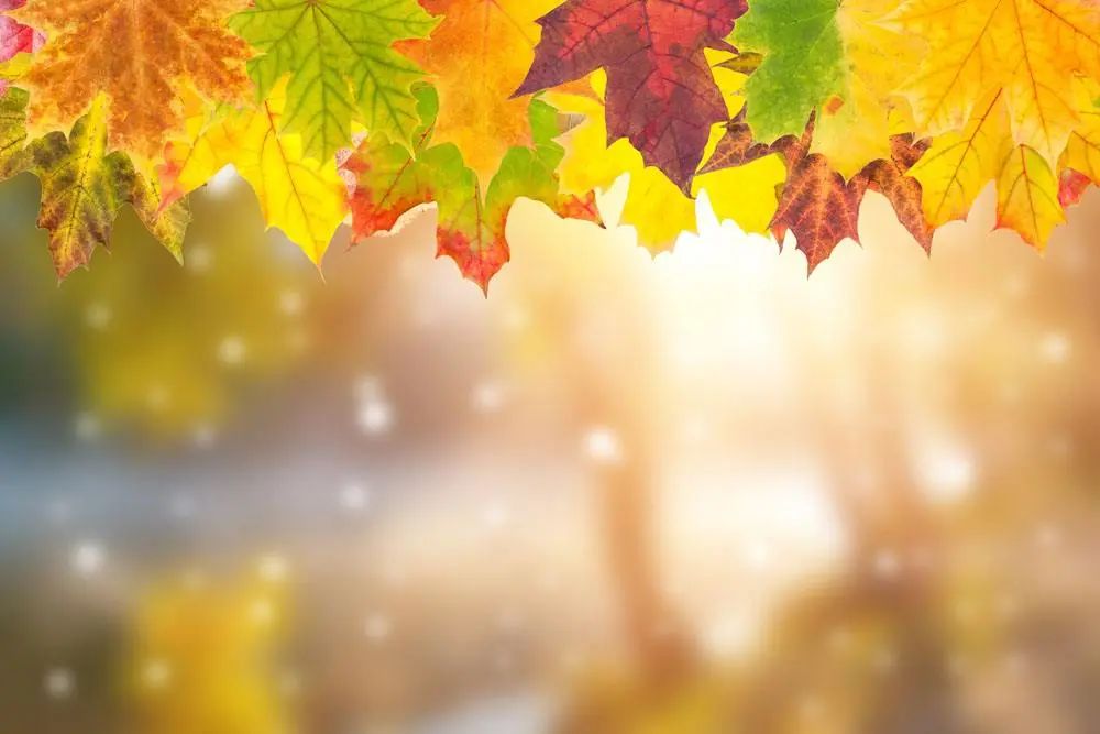 1664156809237917.jpg 640 (2).jpg