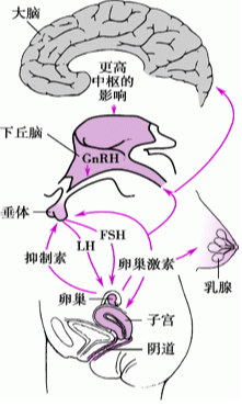 1670809711125770.png 640.png