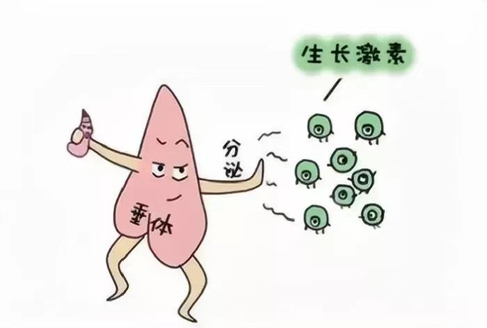 1679277107849309.jpg 微(wēi)信圖片_20230320094341.jpg