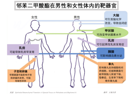 1681704070964680.png 641.png