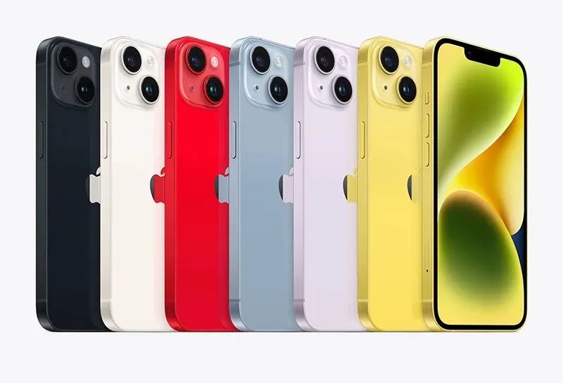 1689042561223205.jpg 644.jpg