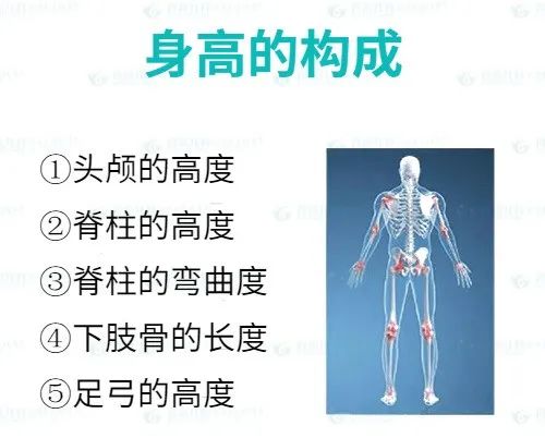 1691373317592107.jpg 640.jpg