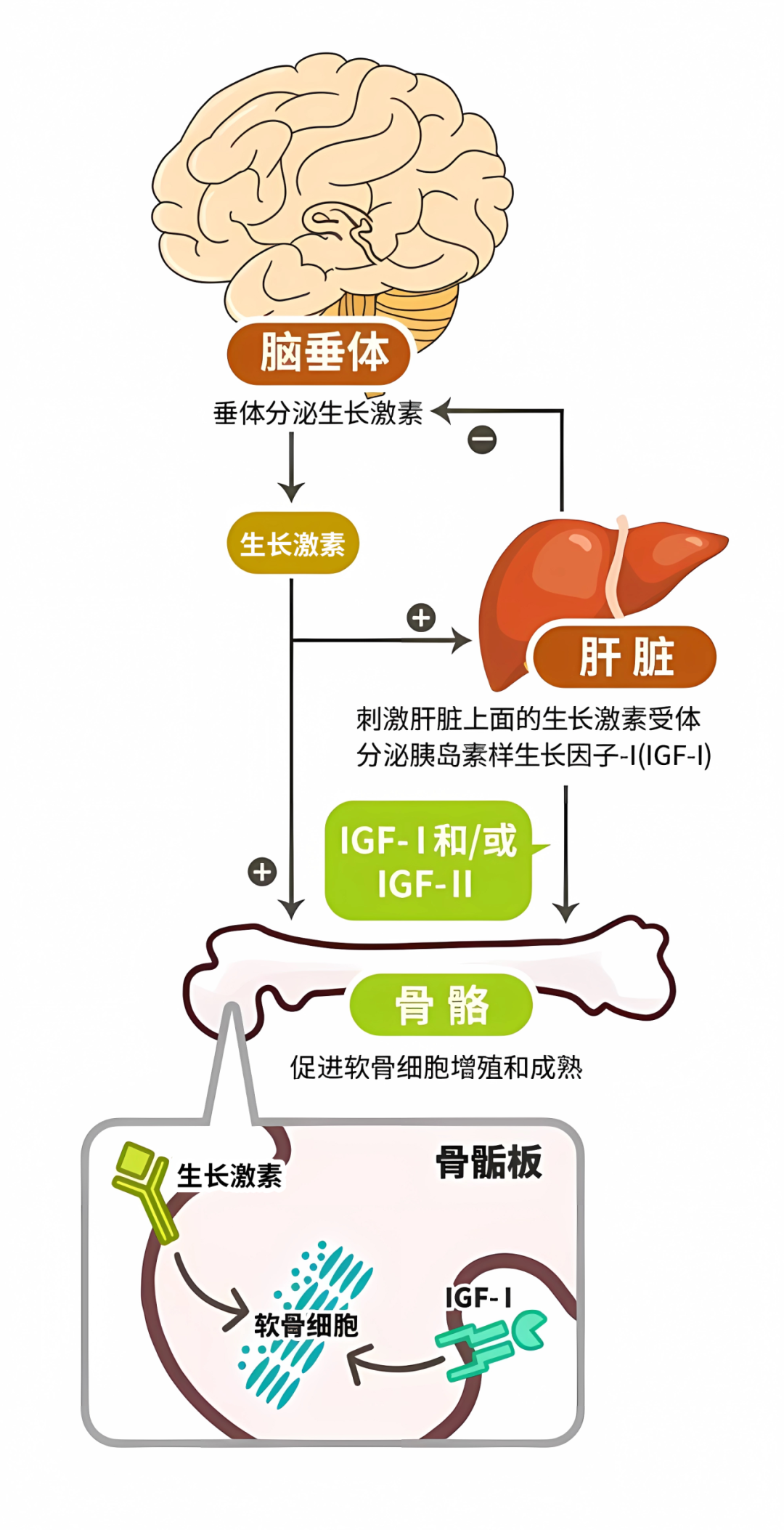 1695009545480970.png 640 (1).png