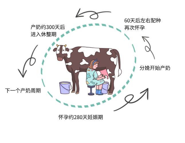 1705289718926293.png 640 (2).png