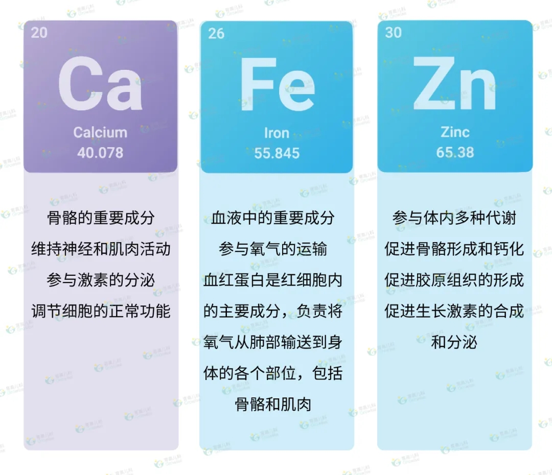 1712456422977601.jpg 640.webp (1).jpg