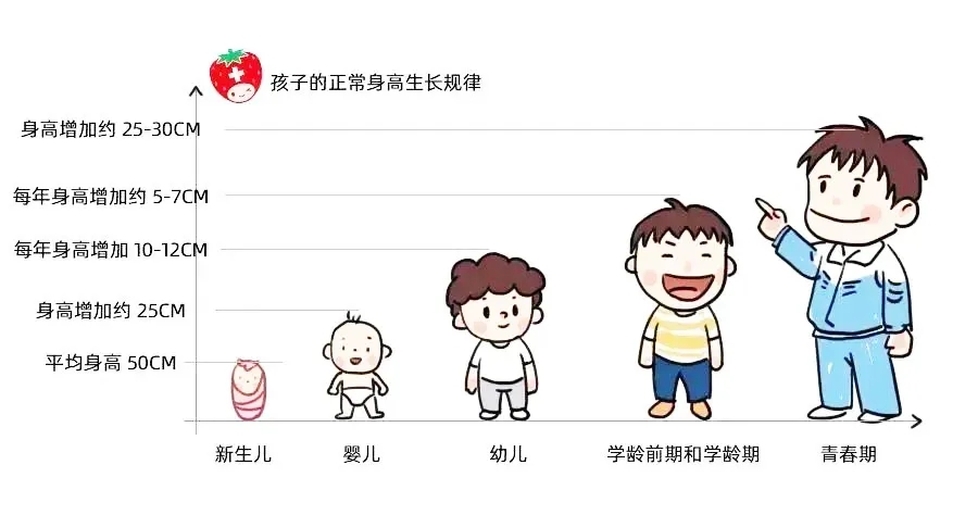 1714966756706755.jpg 640.webp (17).jpg