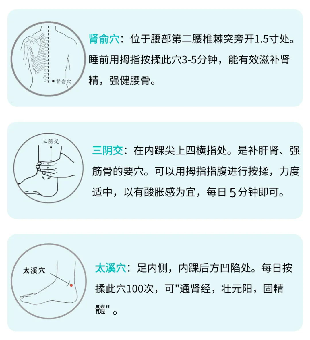 1744620614260853.png 640.webp (6).png